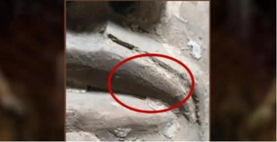 2020年，秦始皇兵马俑博物馆的摄影师赵震在拍摄兵马俑时，突然情绪失控，哭了起来