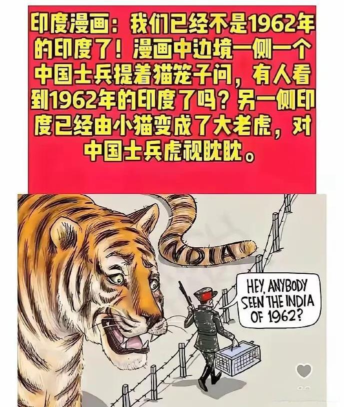 我不是猫咪了，我是老虎!印度的一幅漫画让人笑喷了！只见一个中国士兵提着一个猫笼子