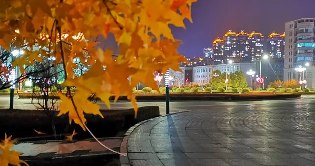 秋夜昏黄的灯光, 轻轻地撩拨着心底的相思