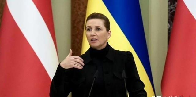 稀土烂在地里也不给中国？这招“七伤拳”把自己锤废了！丹麦以为禁了中国投资就能遏制