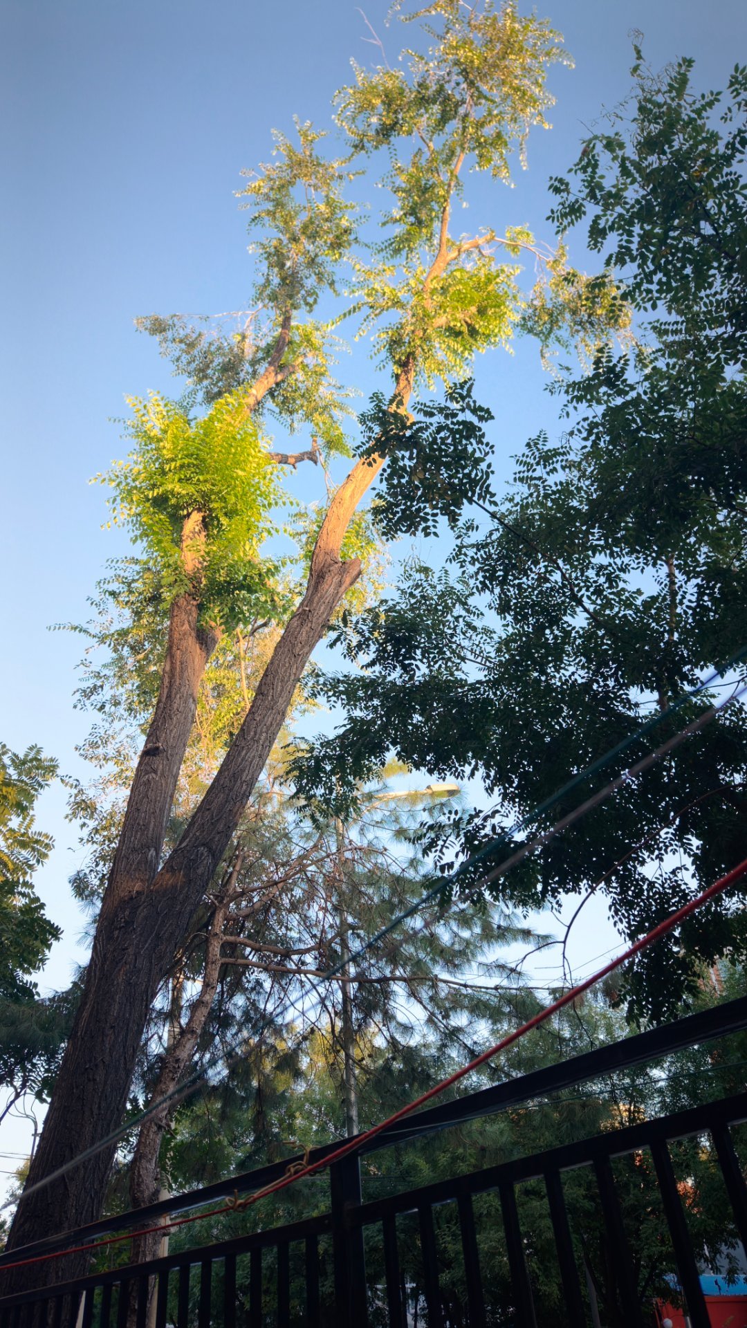 嗯猜我最喜欢是谁新欢旧爱很多我们大天蝎新欢无数旧爱无数最爱不换目前图九宝宝