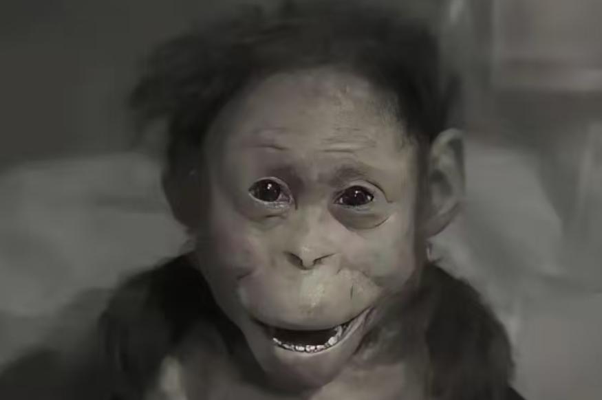 民国初年，一个"猴子"死死抱住药铺掌柜的大腿，泪流满面。掌柜掀开猴皮，发现了肚脐