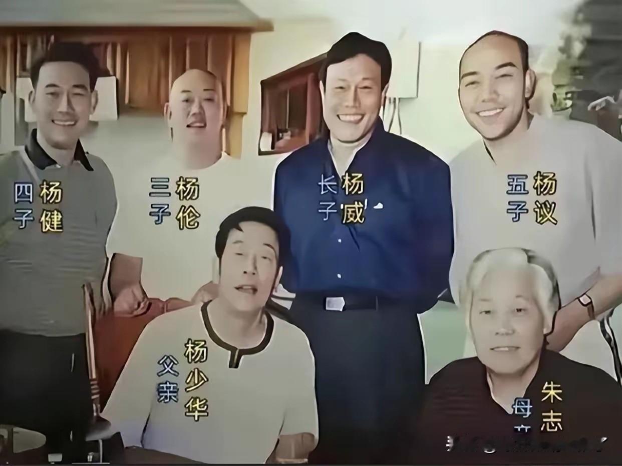 杨议是不是被谁下降头了？从海河风波起，他的行为都越来越不对……最开始，假惺惺