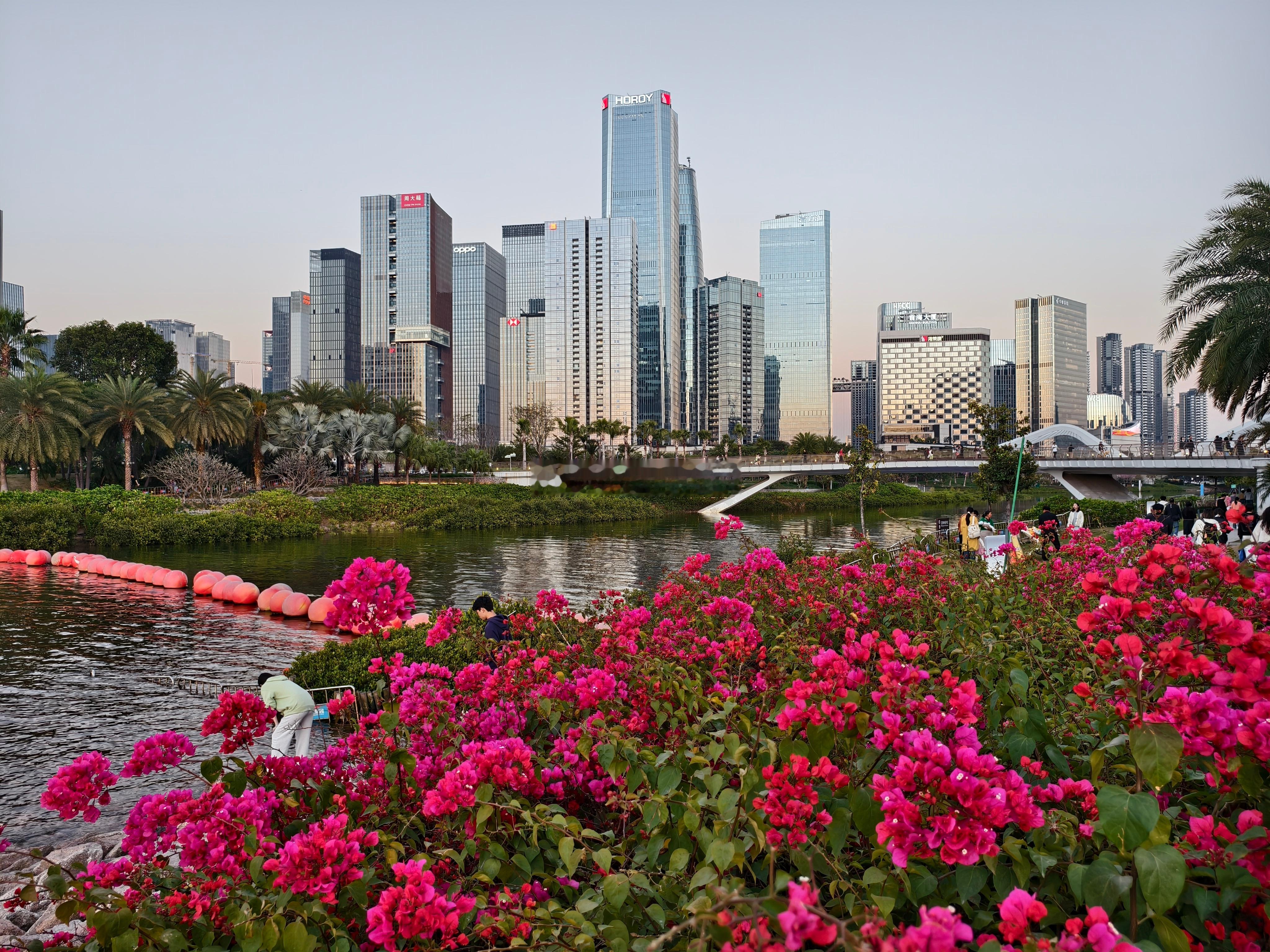 和家人漫步前海湾，穿着短袖，吹着海风，逛逛热闹的花市，等来温柔的日落。摩天轮转动