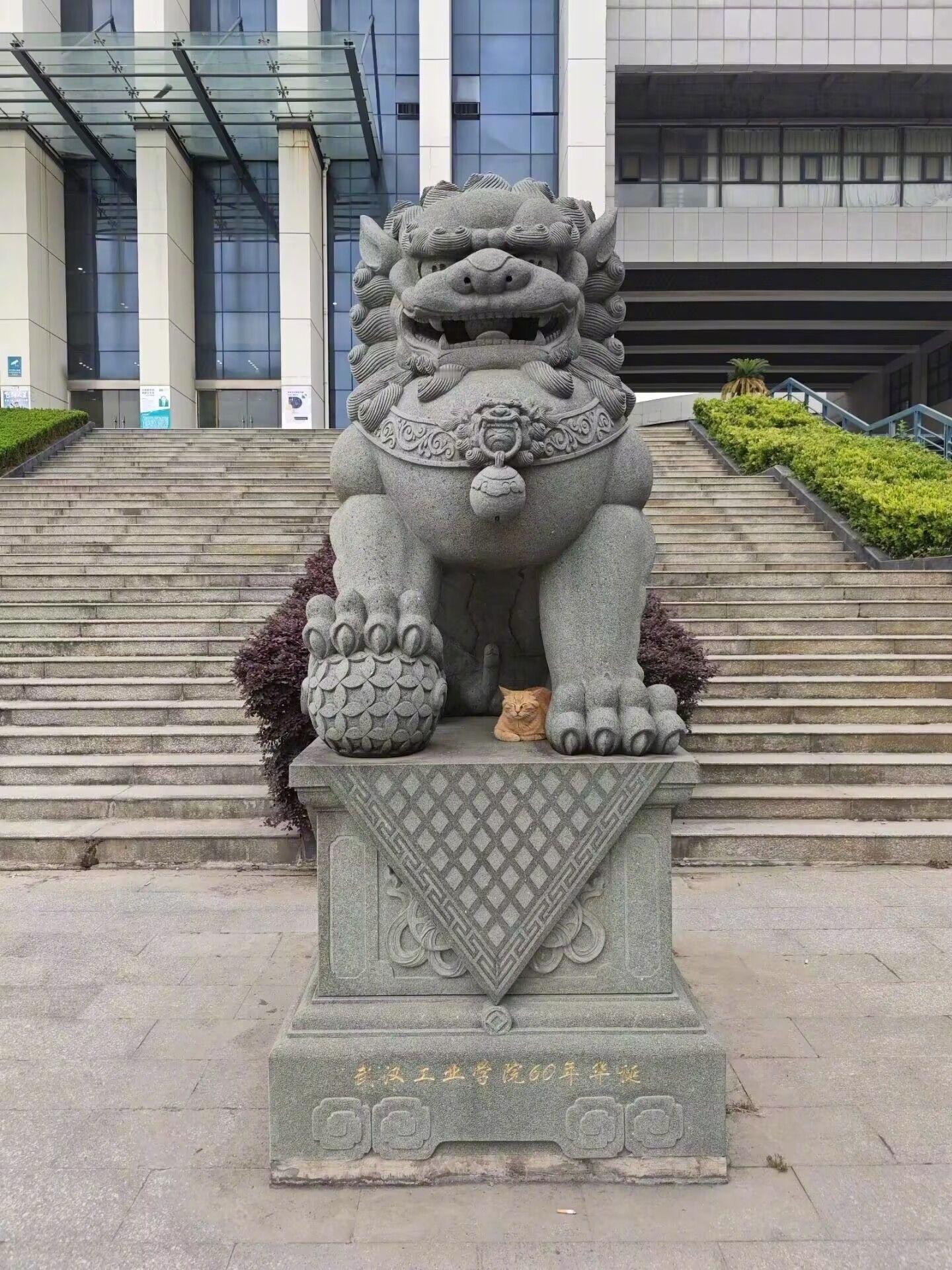 橘子大神真身显现！！​​​