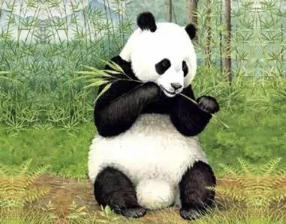 家人们姐姐们，今天姗姗想聊聊，大娘生孩子一系列奇葩事，她的言行实在令人匪夷所思。