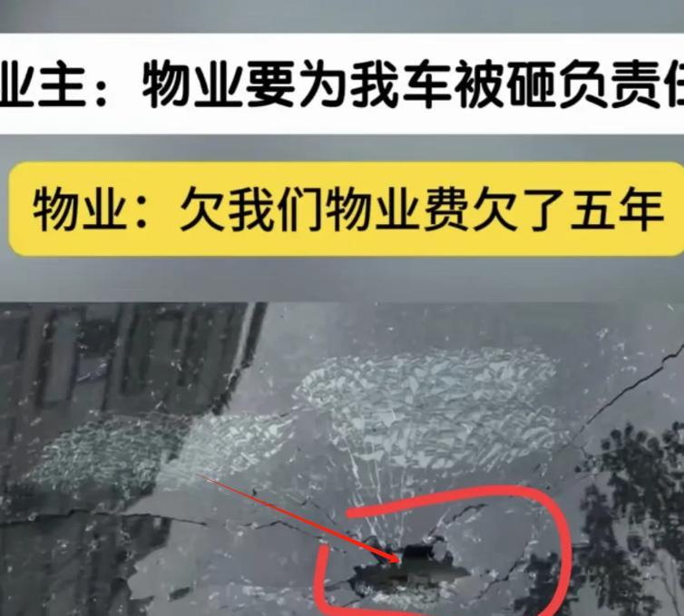 河北石家庄，王先生把车停在小区，结果车后玻璃被砸出个大窟窿，心疼不已。他赶忙找物