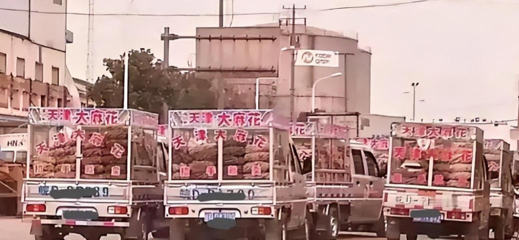 2000年，神秘组织“天津大麻花”，明明没人买却走遍全国，如今才彻底明白，里面竟