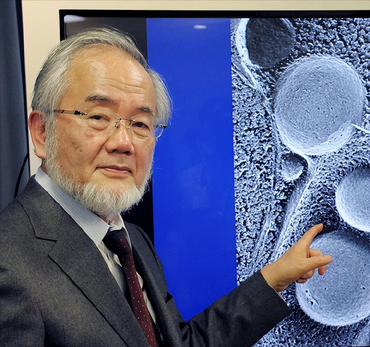 日本生物学家大隅良典发现，人一挨饿，身体就会把坏掉的细胞“吃掉”，自己给自己做大