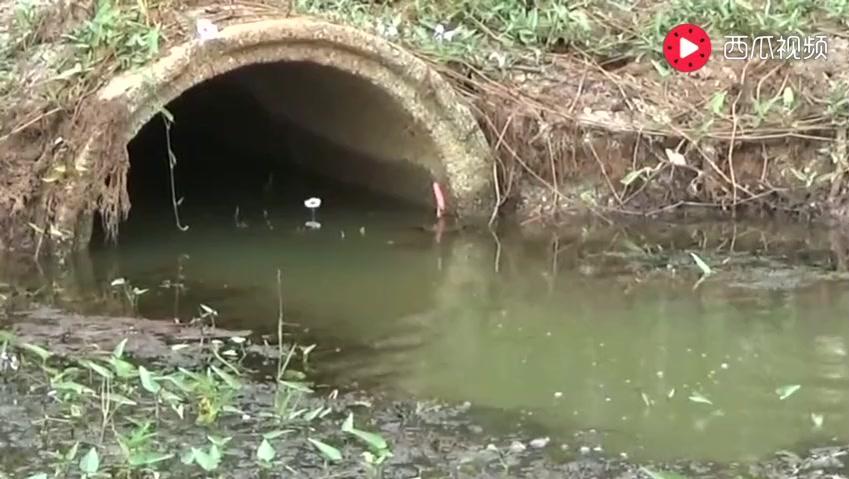 5629751376332811096.jpg?id=0