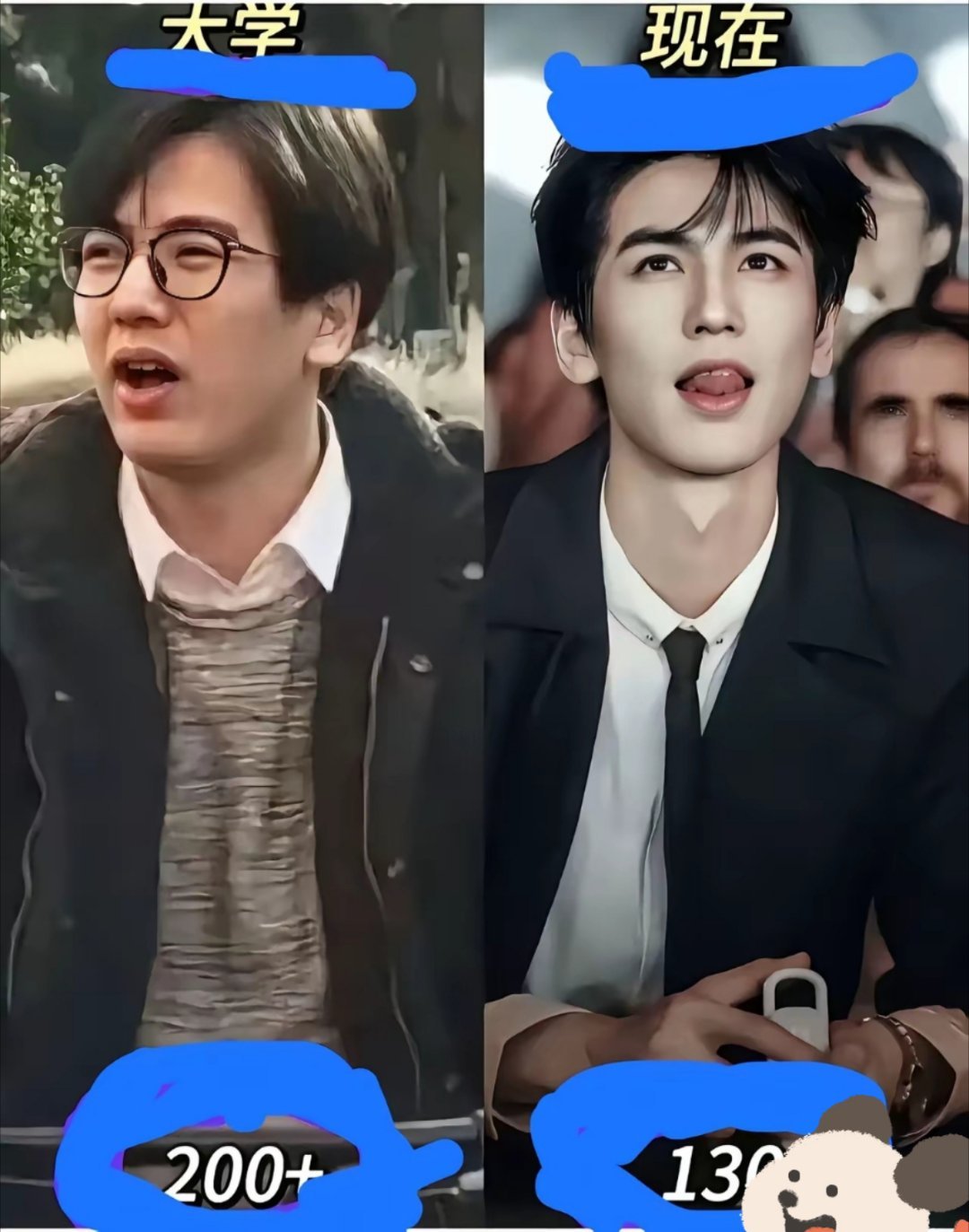 张凌赫的经历告诉我们，原来每个胖子都是潜力股