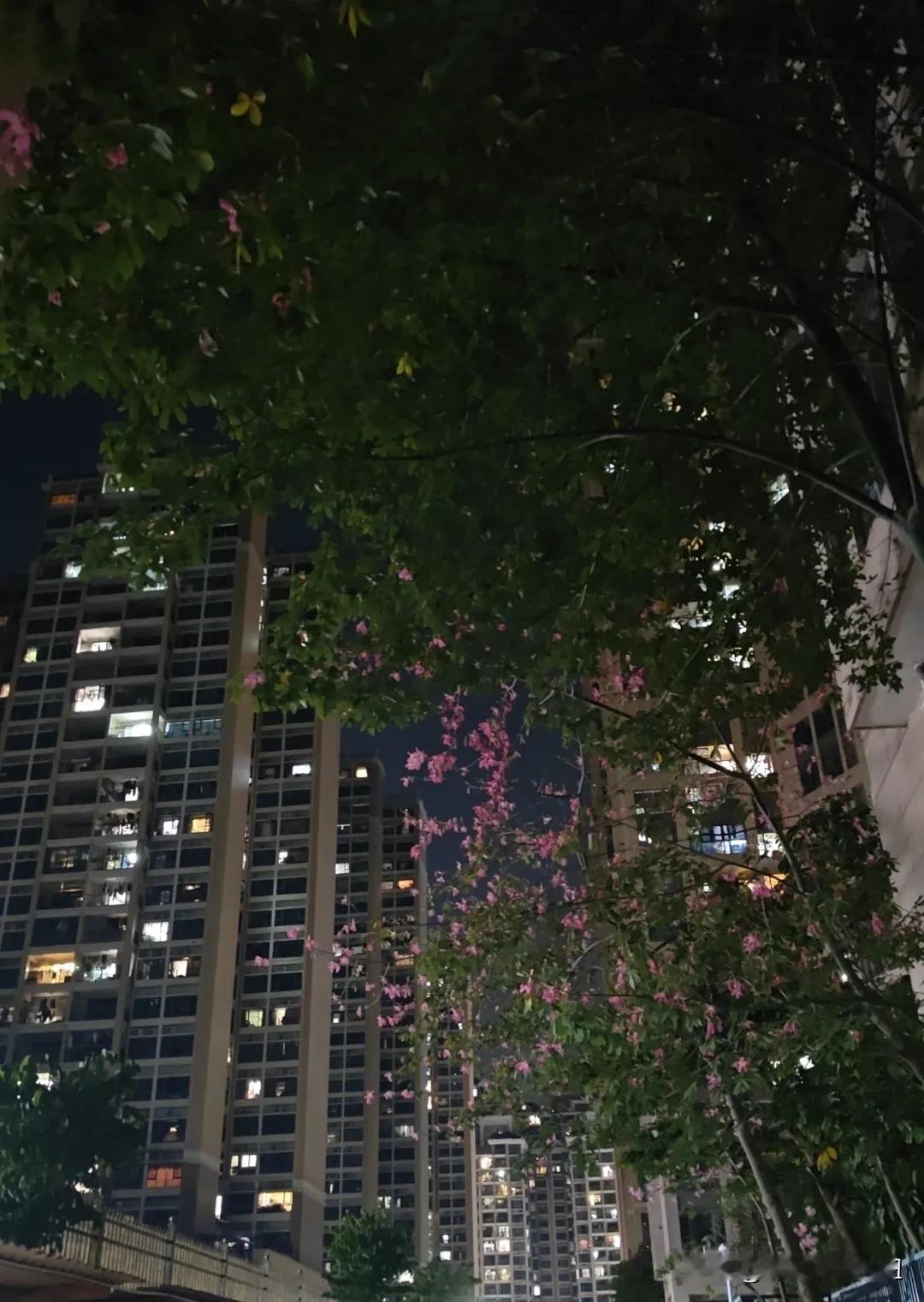 堂哥抑郁症，给了他几个建议。和堂哥好好聊了一次天，首先是先安抚他，先按照医生的