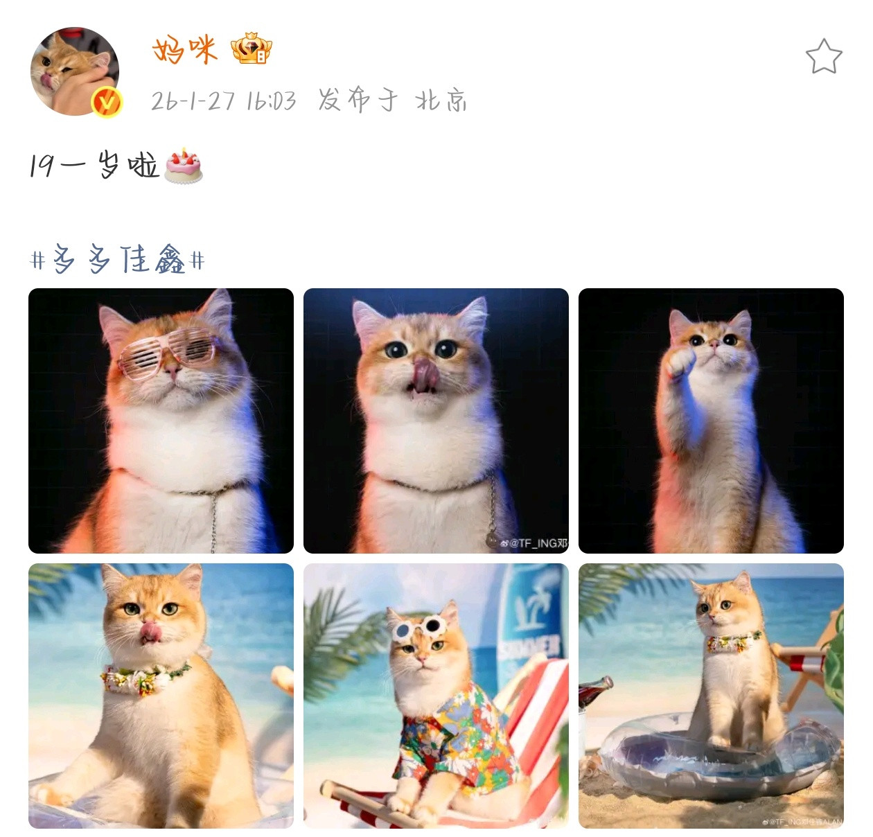 很宠孩子的两口子