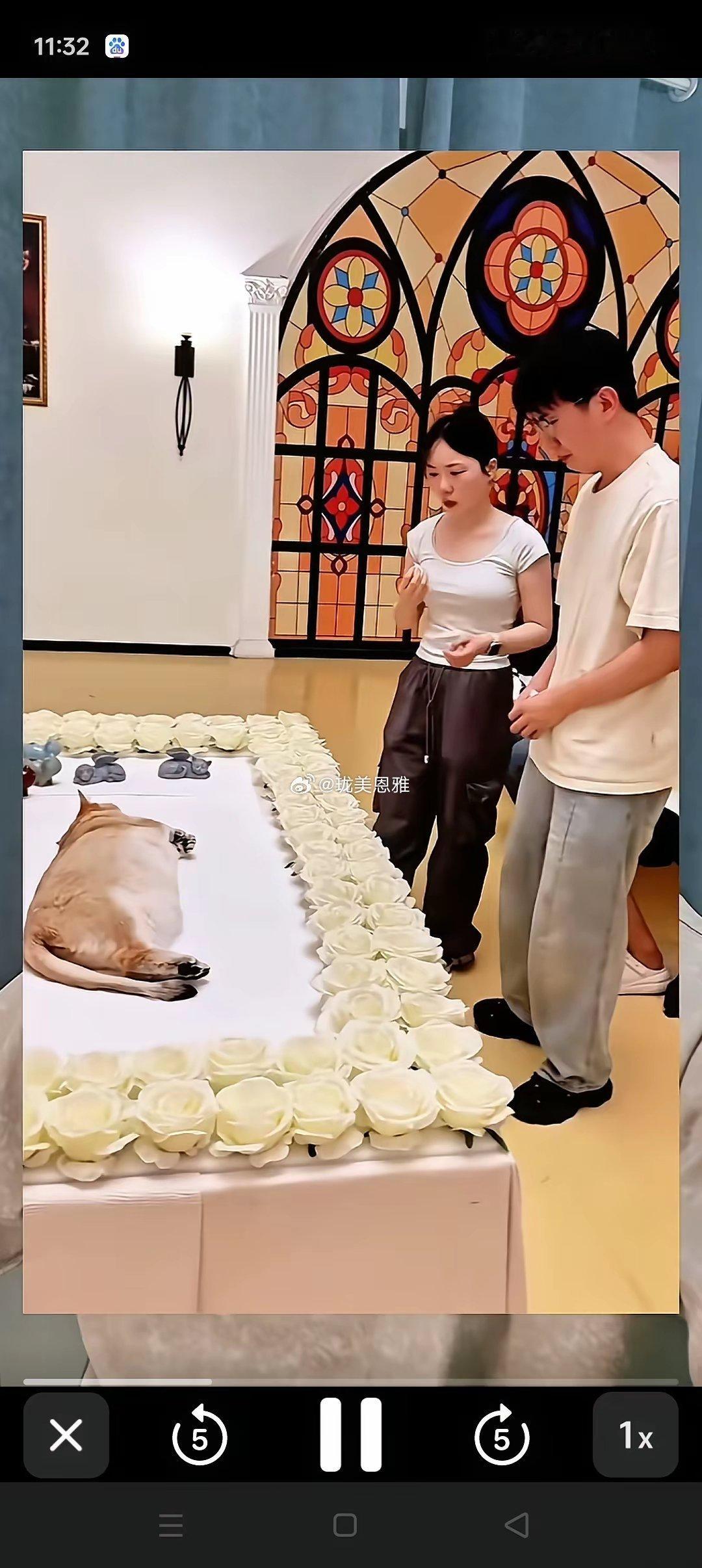 果然是有钱人！花15万块钱给宠物狗办葬礼，亲戚朋友“一个个还满脸悲伤”