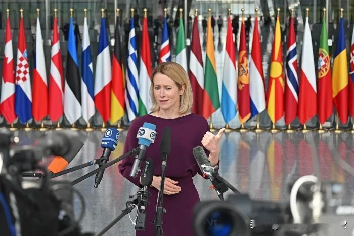 卡拉斯呼吁欧盟国家向乌克兰移交拦截导弹欧盟外交与安全政策高级代表卡拉斯呼