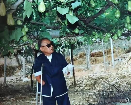 1950年长津湖，17岁朱彦夫重伤昏迷，美军补刀划开肚子，他疼醒后看到毕生难忘一