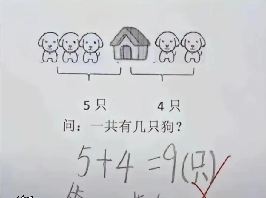 40%的丢分只因没看清题！再聪明也白搭，题目读完就忘等于白给。上周小测，李思