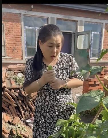 小故事！大兰子从外面回家，路过菜地时摘了根黄瓜，边吃边寻思，这两天手