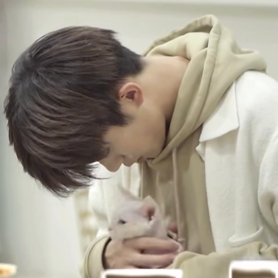 化为一只固执的猫躺哥哥怀里