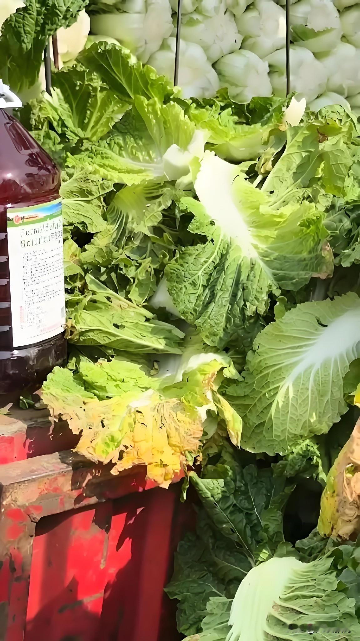 十几年屡禁不止的甲醛白菜，才是普通人最无奈的心酸看完河北甲醛白菜的实拍画面