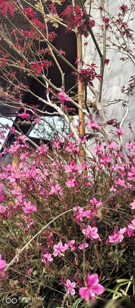 唉！我姐这日子是咋过的。她和姐夫都退休了，一个工人一个公务员，俩月退休金加起