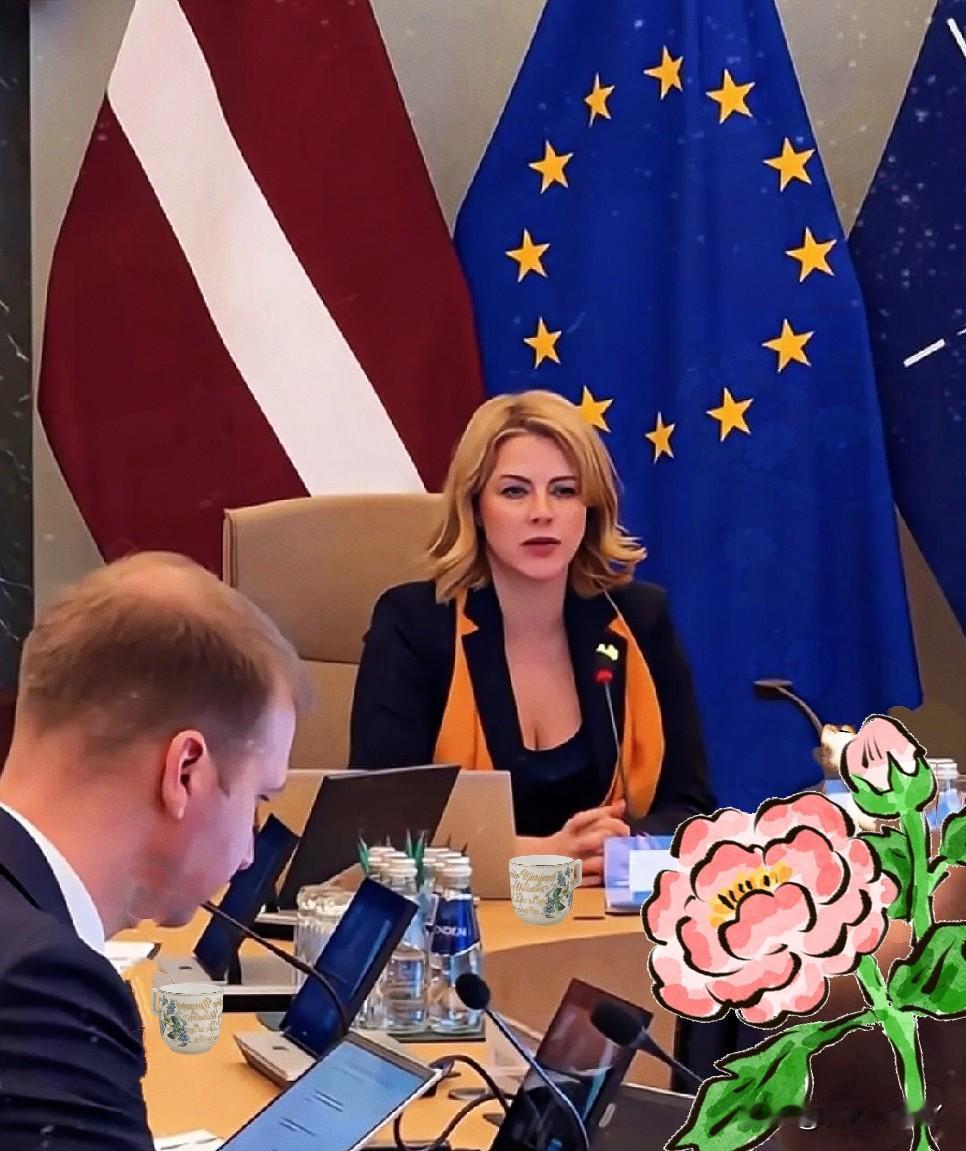 国家不大，胆子不小！联合国安理会又爆大瓜，拉脱维亚在安理会就中东局势停火决