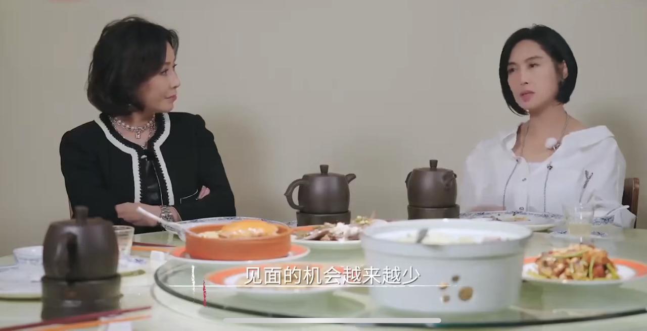 朱茵跟刘嘉玲说，她和蔡少芬见面的机会很少，不是因为两人关系不好了，也不是因