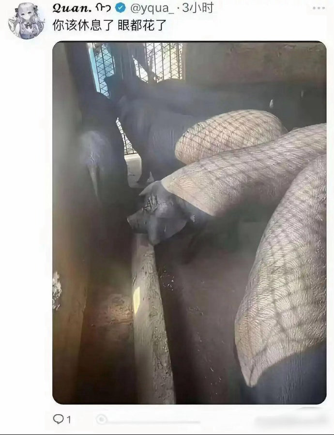 换个角度就完全不一样了