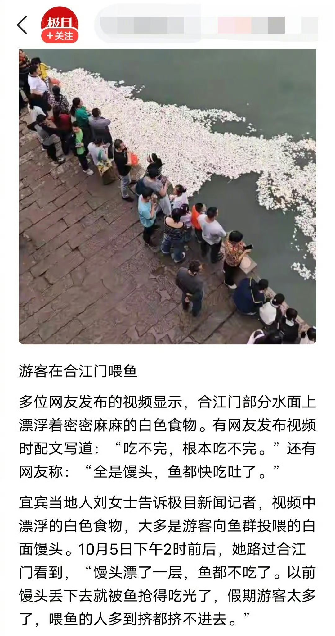 鱼:自助餐已吃到吐​​​