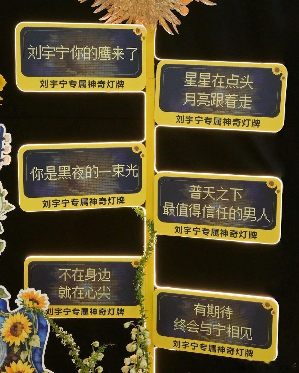 刘宇宁演唱会的花篮，个头惊人，比人还高。一进场，那满目的大花篮，直接成了独特风景