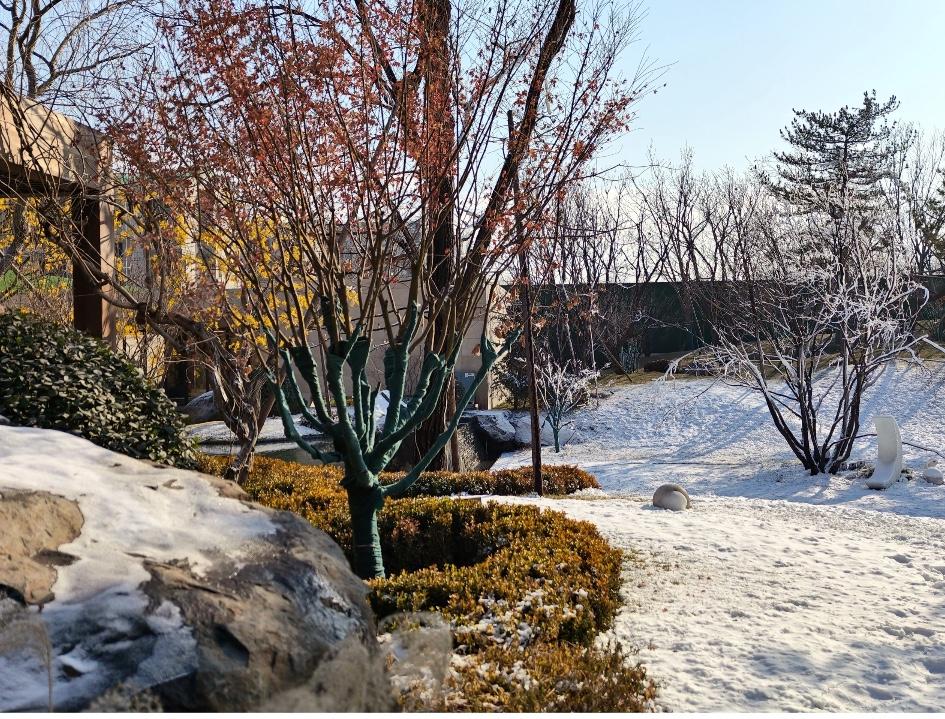 关于房地产孟晓苏的格局有几人能懂？或许我们对他有误解？闲来无事，看了一段孟晓