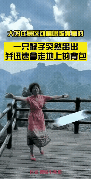 大妈光顾玩了，却忽略了自己的包包，正当她翩翩起舞、陶醉于大自然之中时，没想到一只