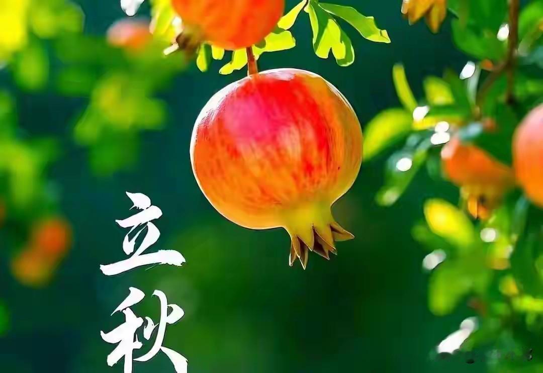 不是迷信，明日立秋，记住一不洗二不做，吃三样，别不当回事2026年8月7日