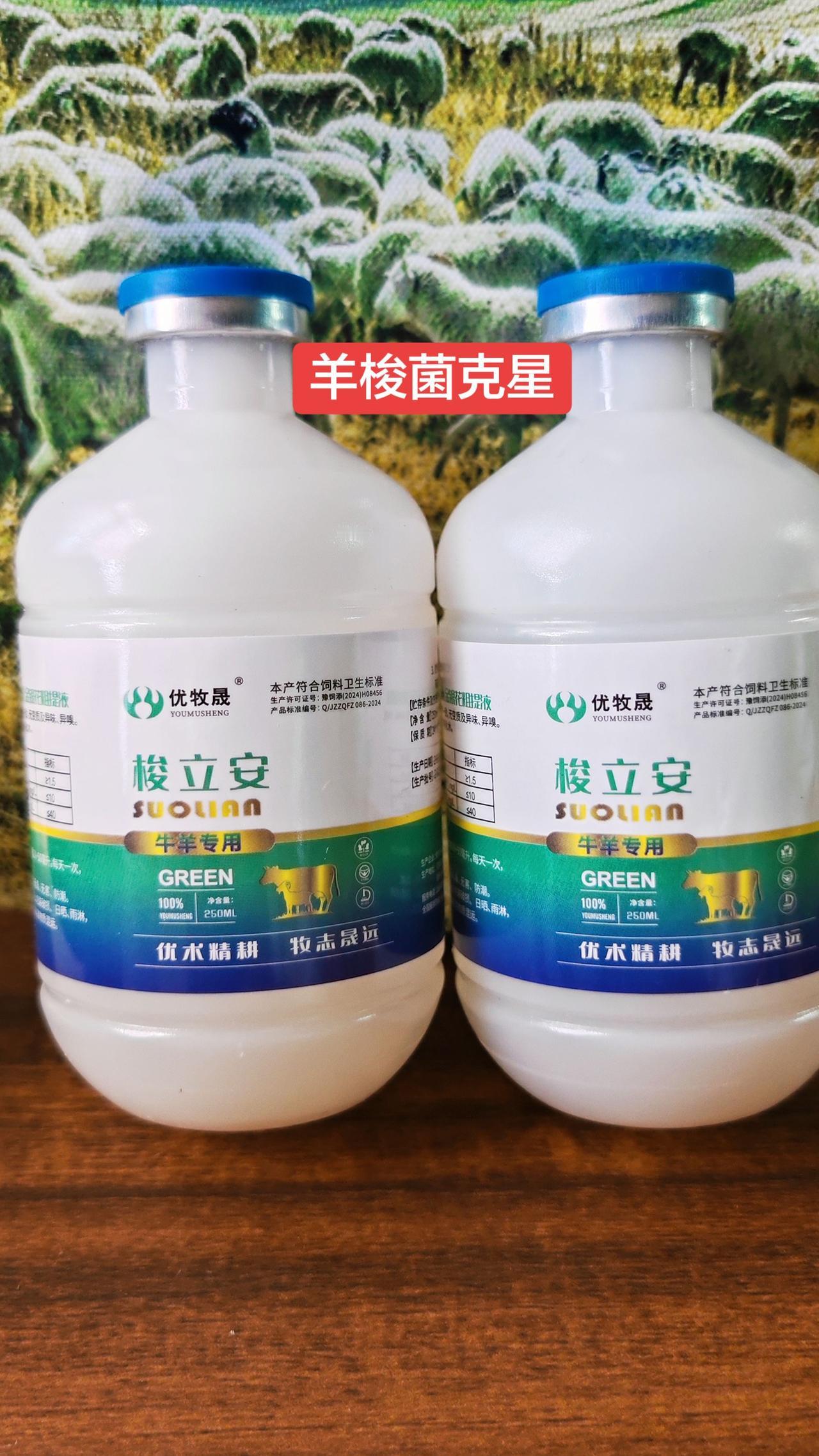 养羊人农村养羊牛羊养殖