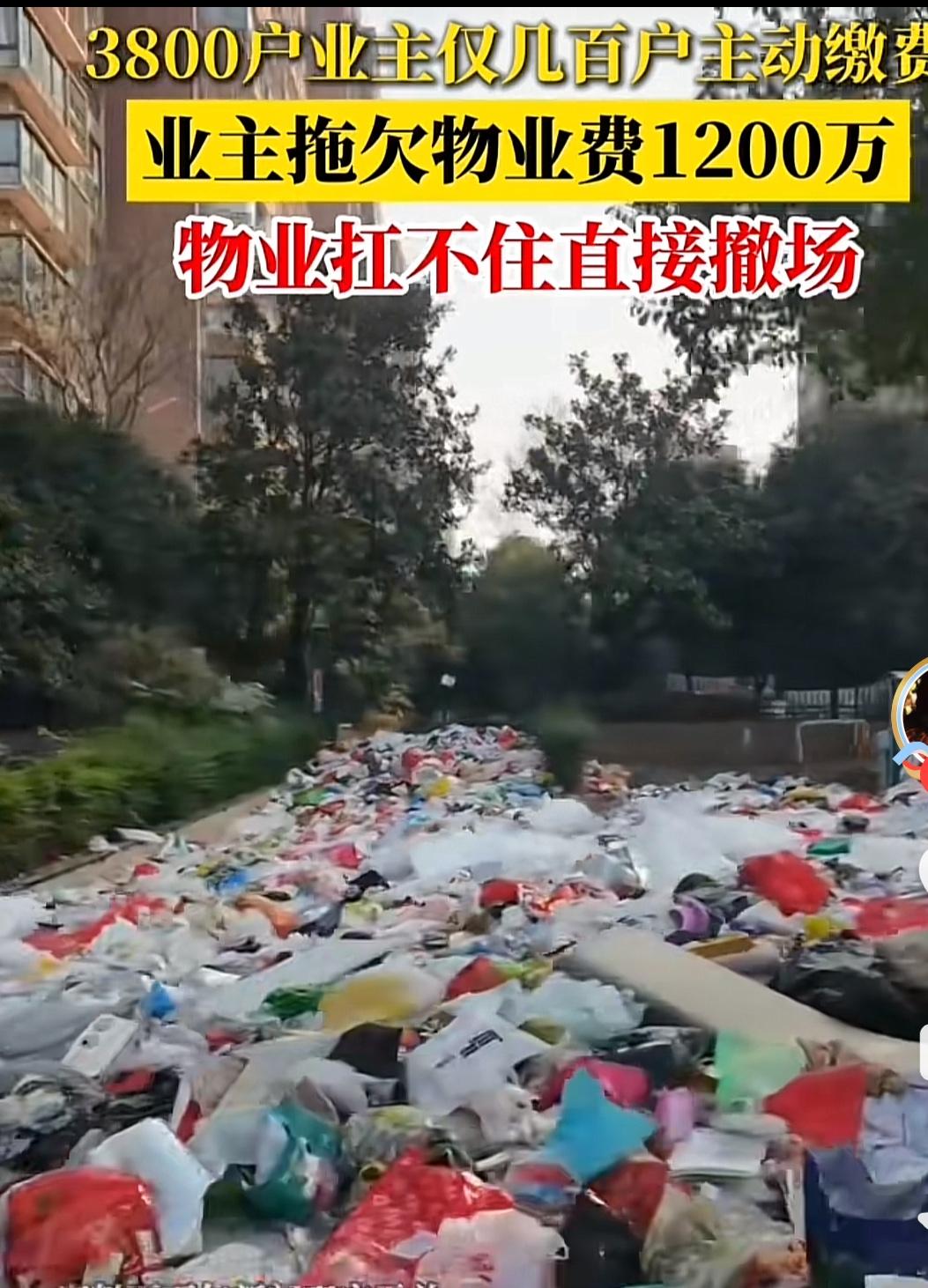 杭州临平这小区事儿闹大了！物业发《退出告知函》，截至10月，物业费欠费超1200