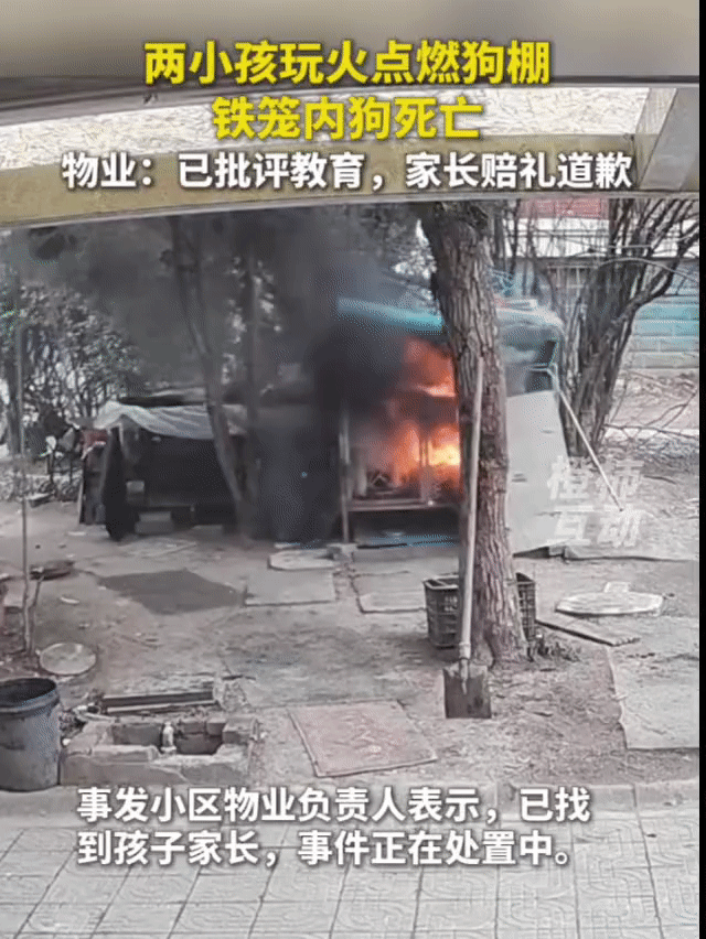 他们还只是孩子！可为什么这么坏？2名小孩故意纵火狗笼，致无辜小狗被活活烧死，听