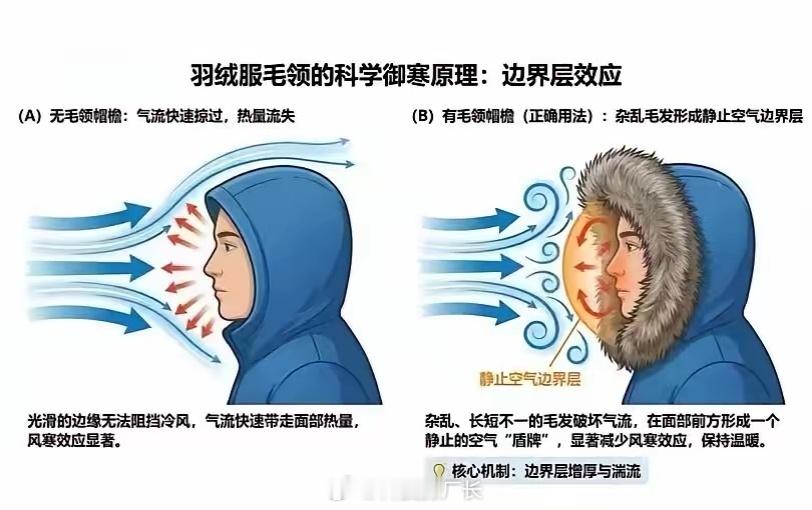 爱斯基摩人没穿错，羽绒服毛领外翻才科学