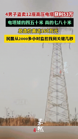 听说过偷电的，偷钱的，可你听说过偷电塔的么，4人组团偷了12座高压电塔，总