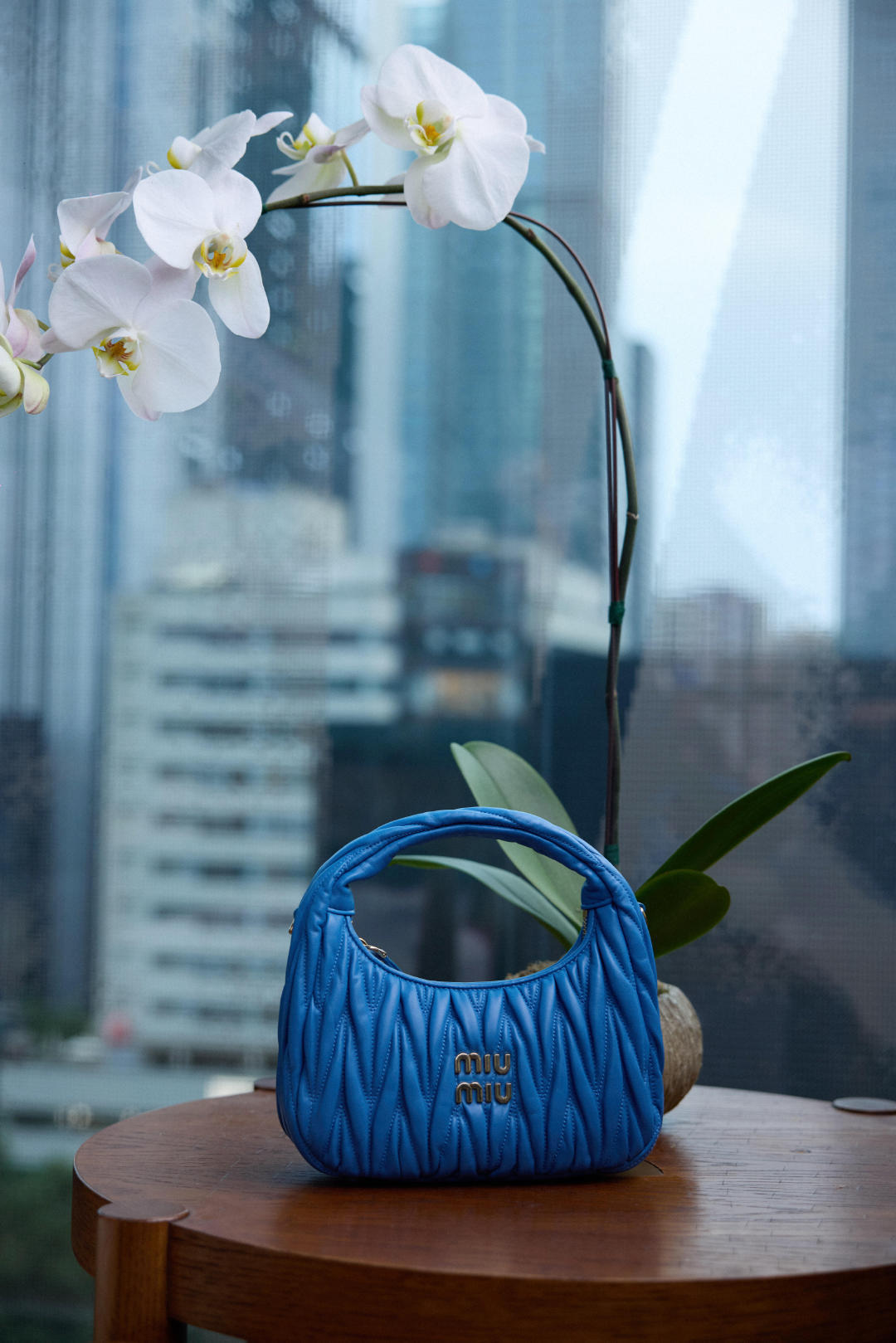 赵今麦×MiuMiu全新宣传大片📸风格大赏