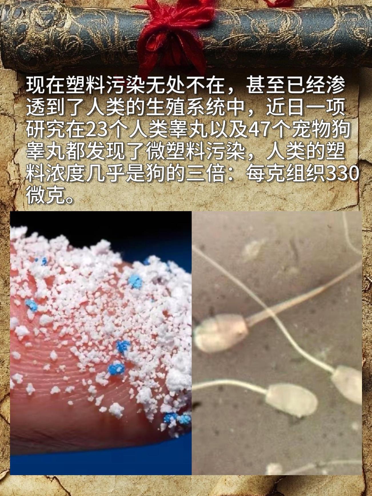 现在塑料污染无处不在，甚至已经渗透到了人类的生殖系统中