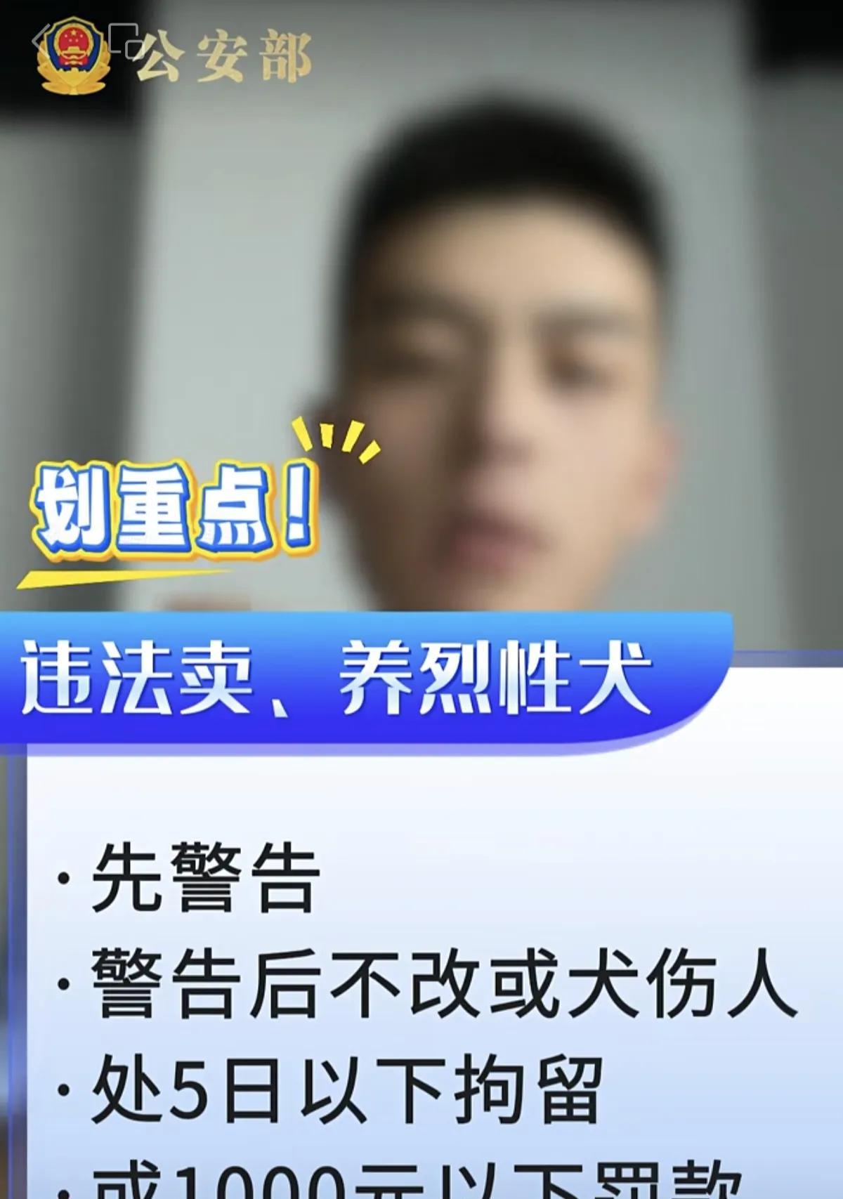 我曾经问过我的德国客户一个问题，德国是不是也有很多人带狗出门却不拴狗绳？我的德国