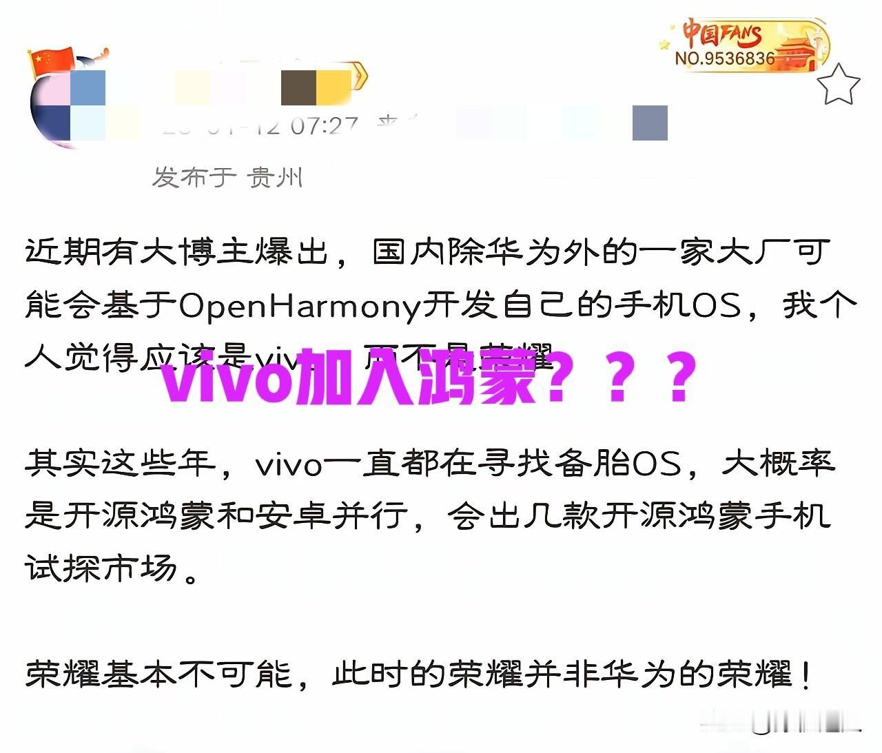 要是蓝厂的话，我觉得要大卖了，本来vivo就已经连续四年国内出货量第一了。如果再