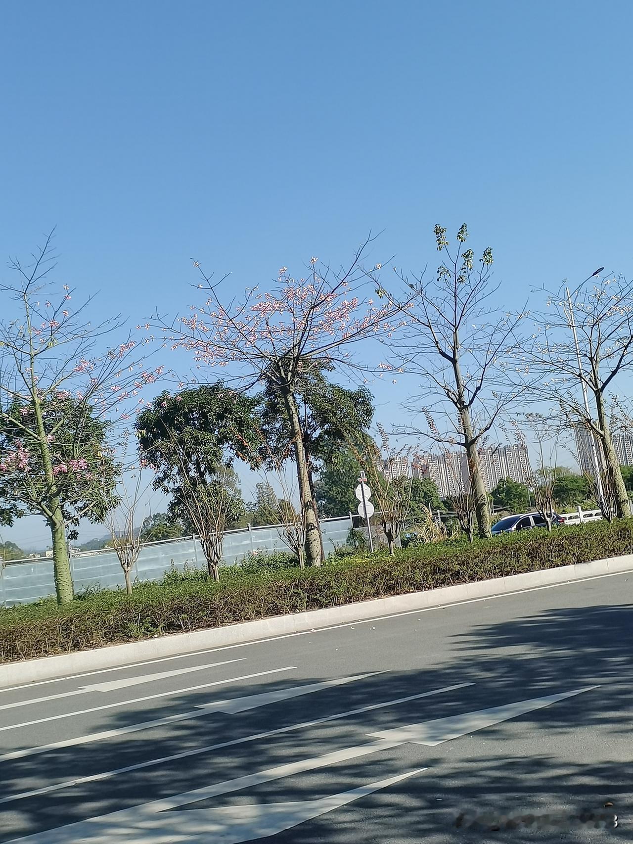 村里有个男的，早年做生意赚了钱，他说唯一的遗憾就是没儿子，那时计划生育，他们家生