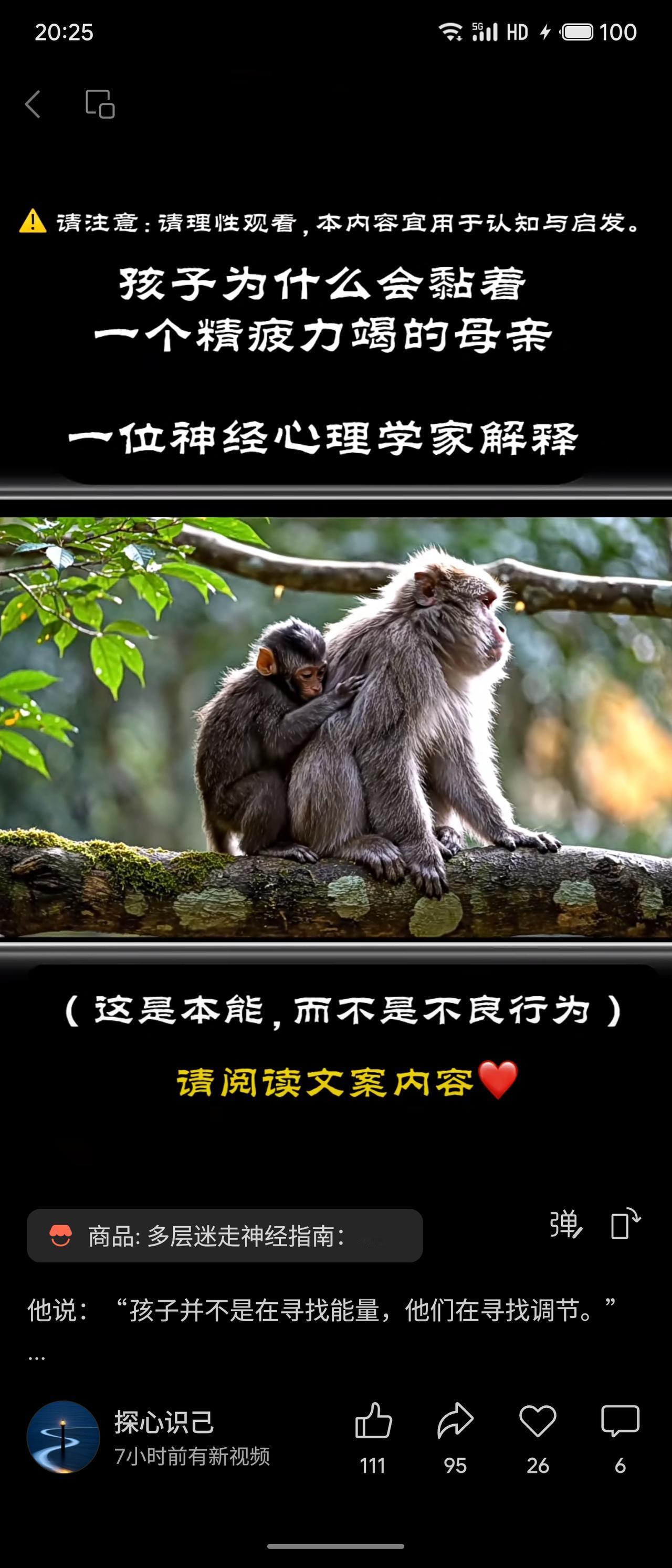 揭示了“黏人”背后是孩子寻求情绪调节的神经科学本能。它启示我们，无论是法律中的“