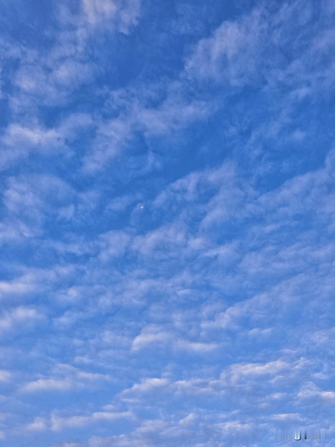 今天的天儿可真给面儿！抬头一看，湛蓝湛蓝的，跟洗过似的透亮。云儿像棉花糖似的，这