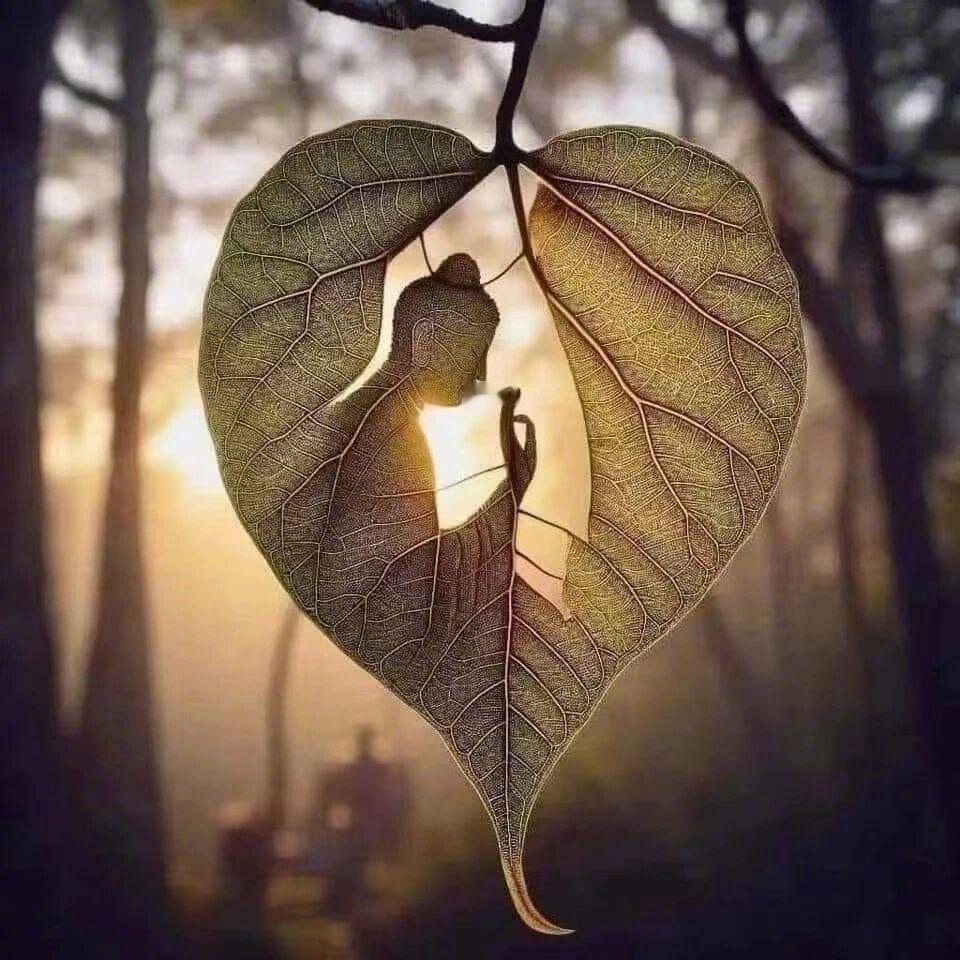 一个人讨厌、厌恶的东西越多，内心所持的偏见则越重，控制欲则越大，与其他人之间的共