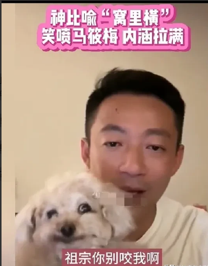 笑不活啦！汪小菲神比喻！台北那小狗窝里横！汪小菲直播的时候，说，台北的小狗，可