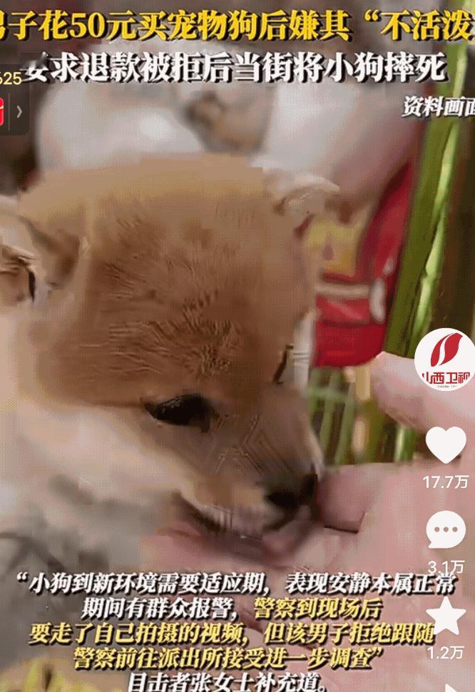 没有比这更残忍的了！男子花50元买了一只小狗回家，发现小狗不活泼，就去找卖狗的人