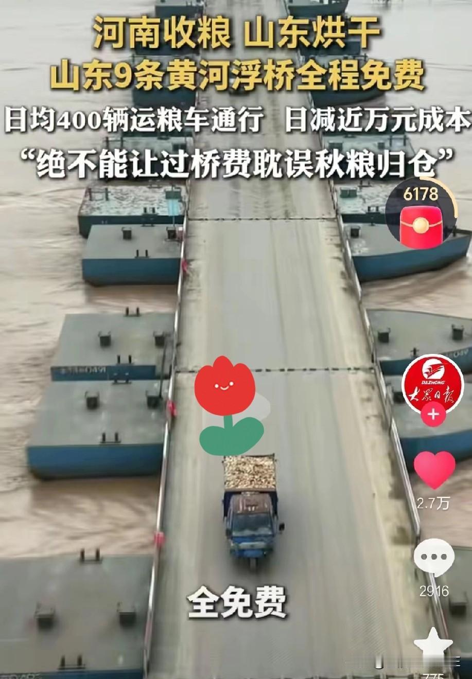 河南那头刚下大雨，地里的麦子眼瞅着就要发芽，这消息一传过来山东这边一点没含糊，九
