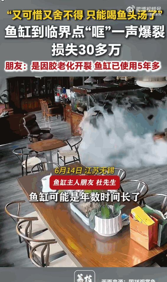 真的太惨了！6月14号江苏无锡发生了这么个事，一个男的办公室里的大鱼缸，装